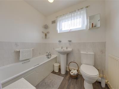 Picture 21